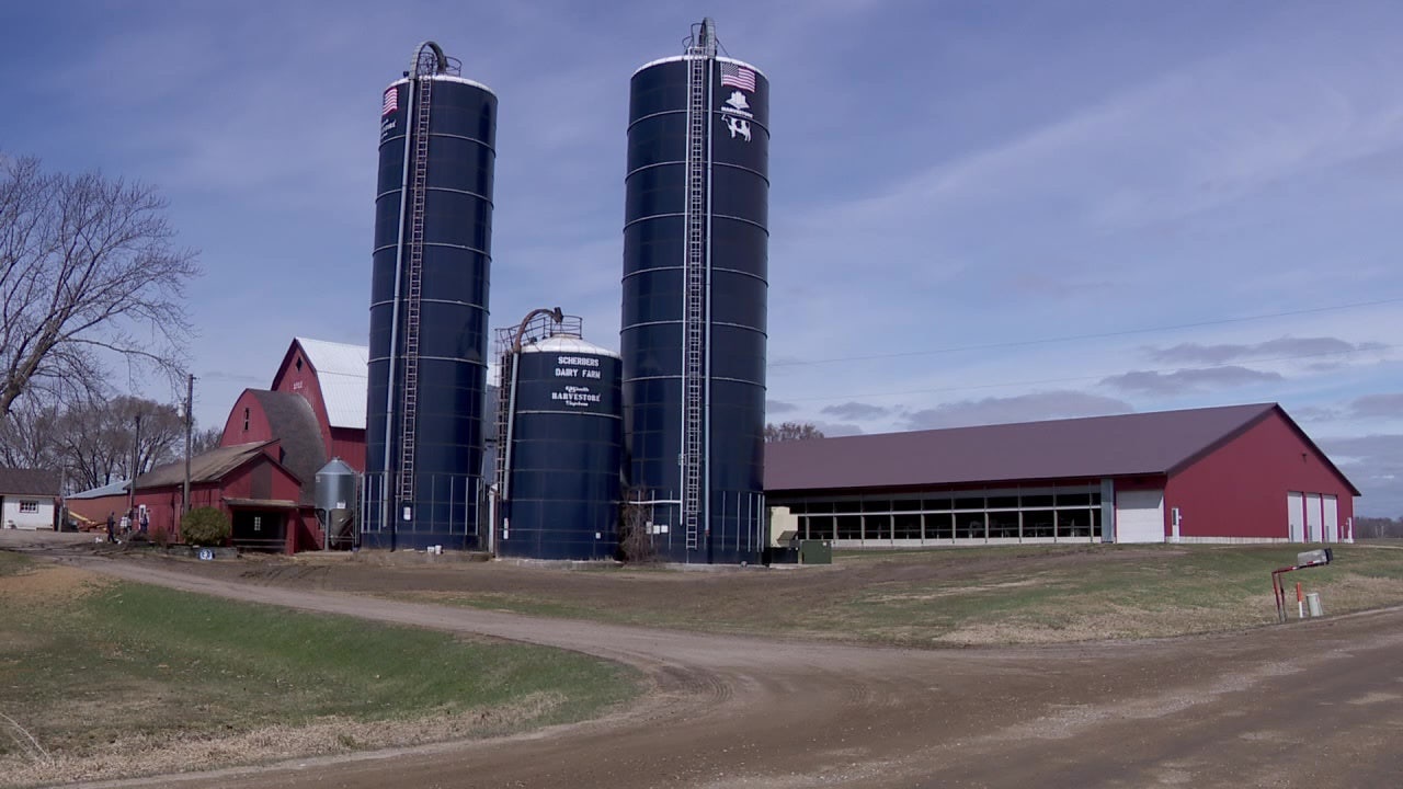 Corcoran family farm opens doors for cow cuddles