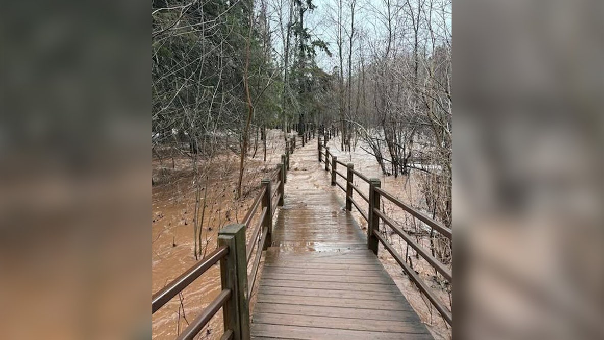 Gooseberry Falls State Park flooding closes trails before free entry day
