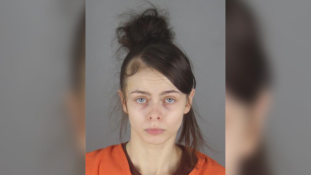 Tesla captures Minneapolis hit-and-run footage, woman charged in fatal crash