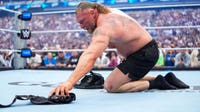 Brock Lesnar hints at retirement after WrestleMania match