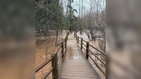Gooseberry Falls State Park flooding closes trails before free entry day