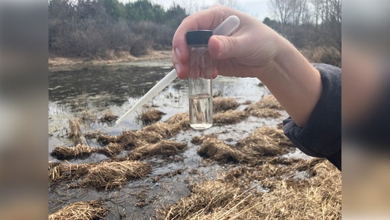 Minnesota mosquito and tick predictions for 2026