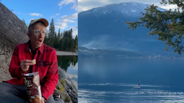 Osprey attempts to steal fish from bald eagle