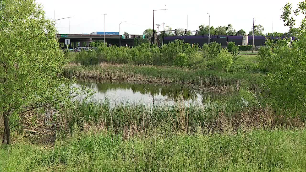 Man arrested in connection to body found in Brooklyn Park drainage pond