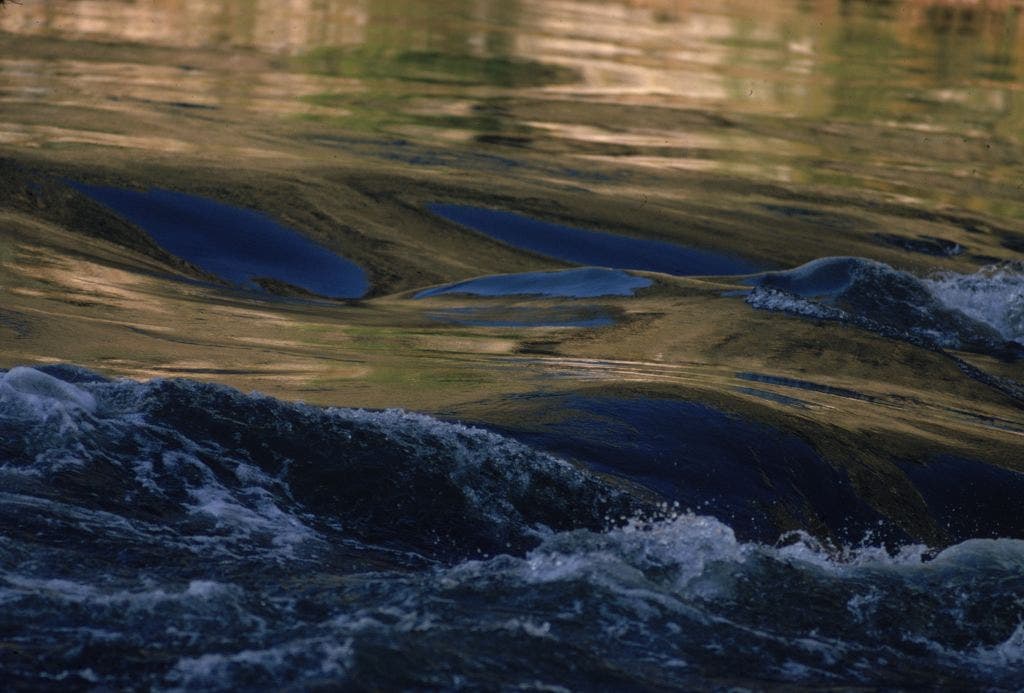 Man dead after Crow Wing County 'drowning incident'