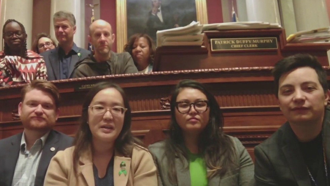 Gun safety sit-in: DFL lawmakers push for House vote on gun violence prevention bill