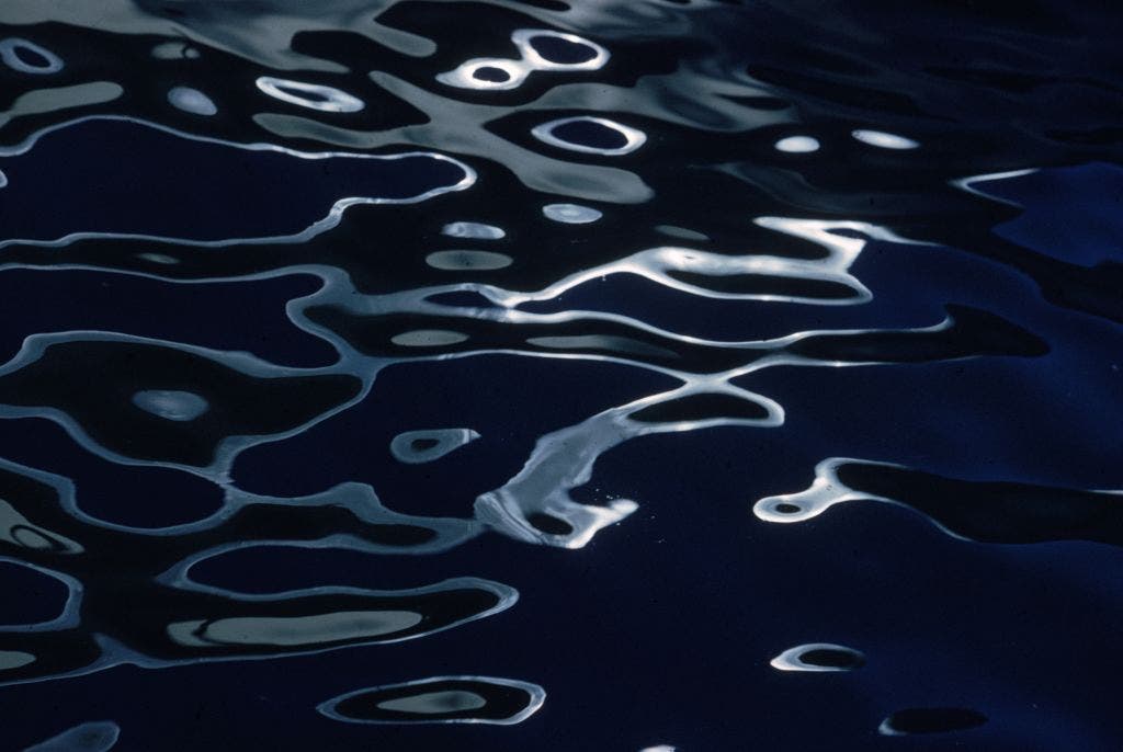 College student dies after paddle boat capsizes on Little Emily Lake