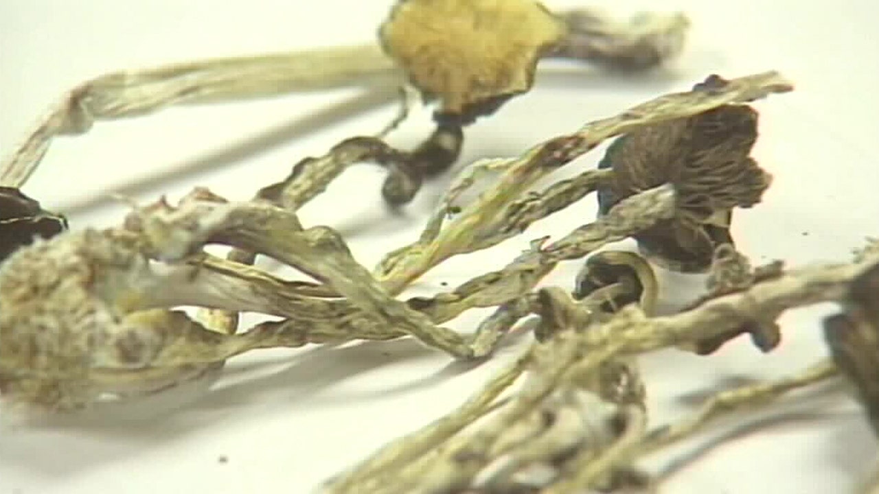 Minnesota magic mushrooms: State lawmakers on the verge of approving federally-funded research