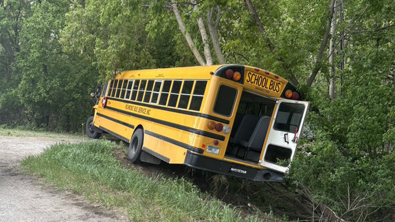 School bus crash: Children injured after bus hits tree in Stearns County
