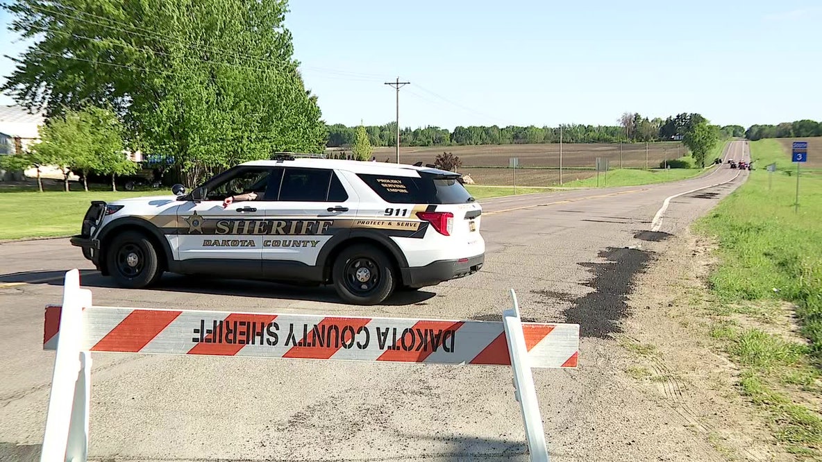 Teen killed in Dakota County head-on crash identified
