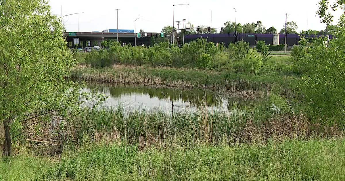 Man arrested in connection to body found in Brooklyn Park drainage pond ...