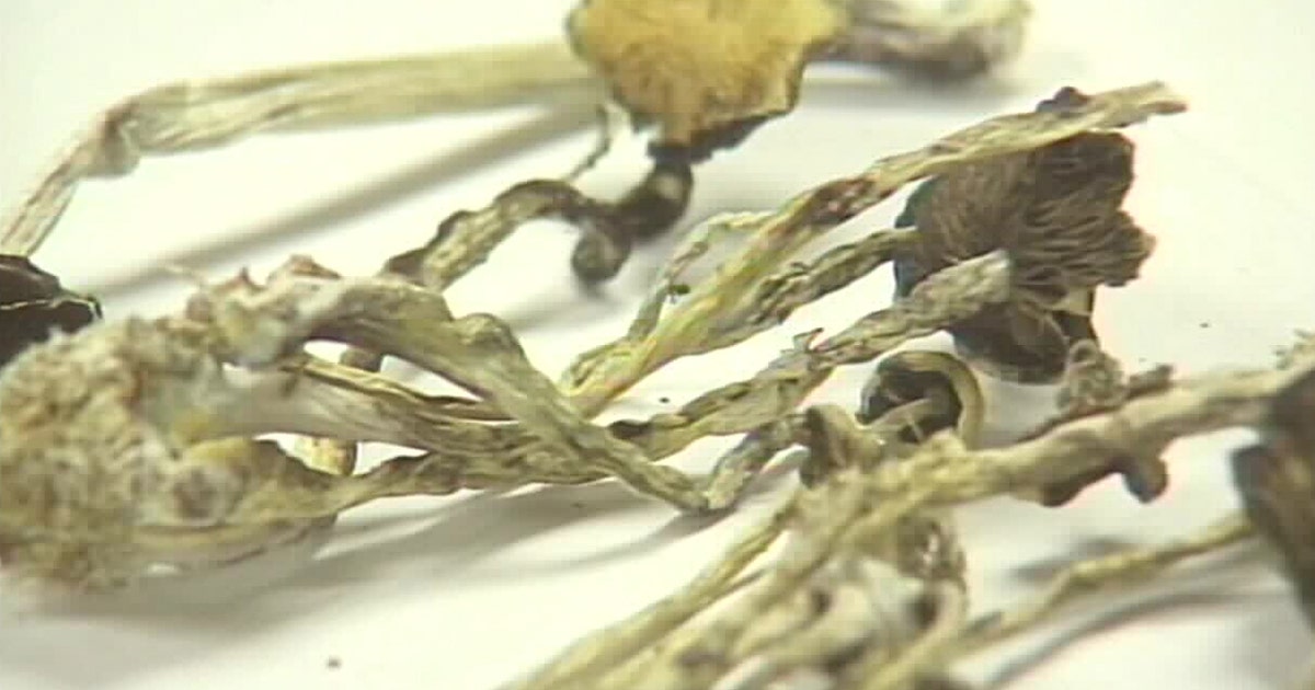 Minnesota magic mushrooms: State lawmakers on the verge of approving federally-funded research