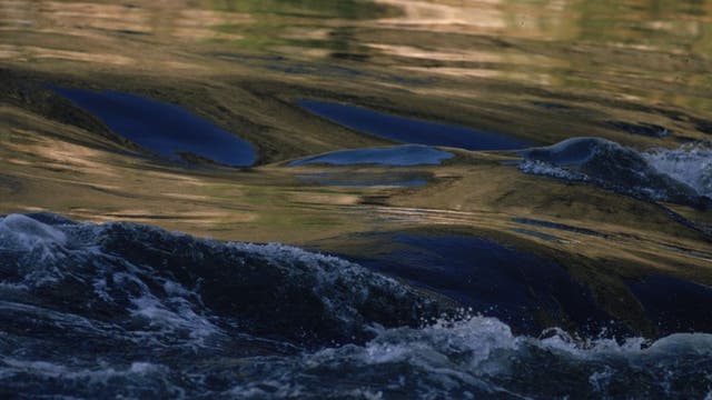 Man dead after Crow Wing County 'drowning incident'