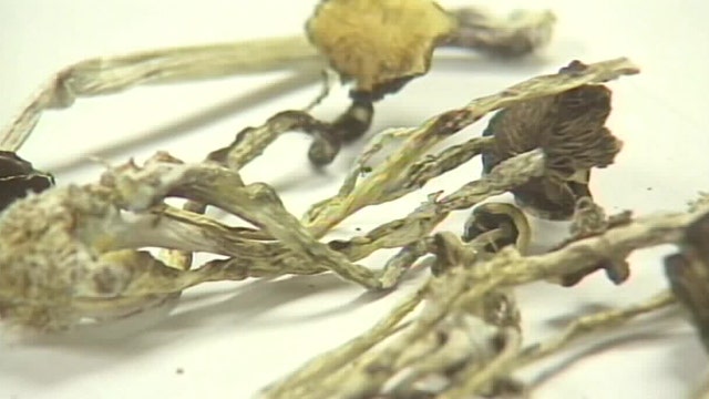 Minnesota magic mushrooms: State lawmakers on the verge of approving federally-funded research