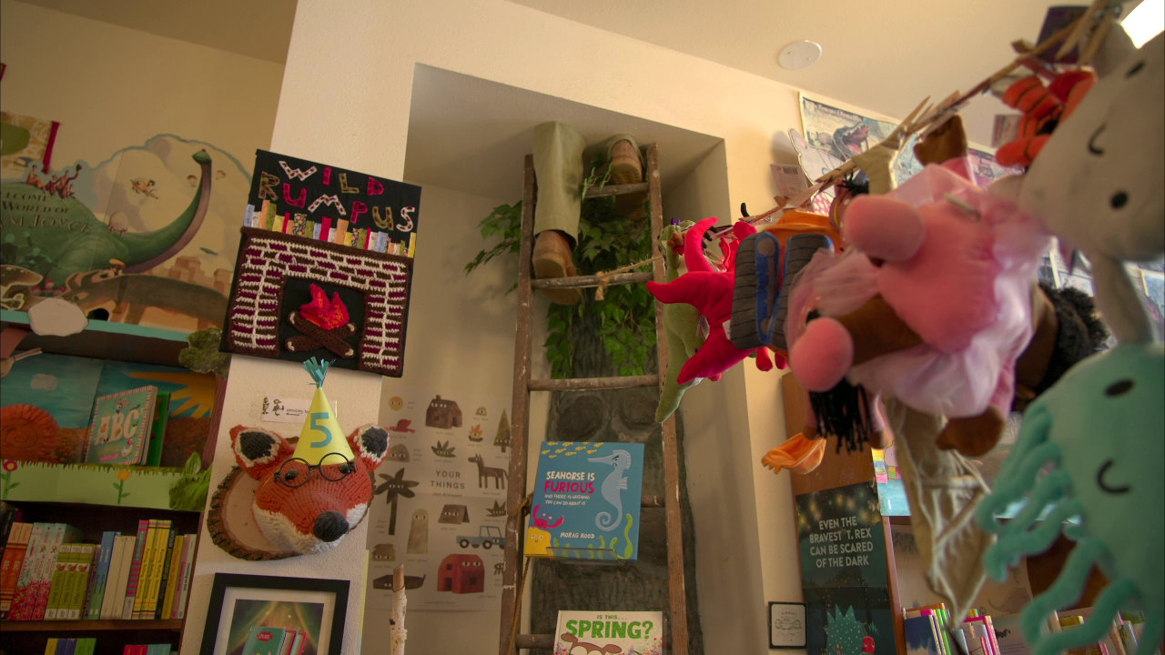 Why Wild Rumpus in Linden Hills is unlike any other bookstore: Cats, chinchillas and 15K books