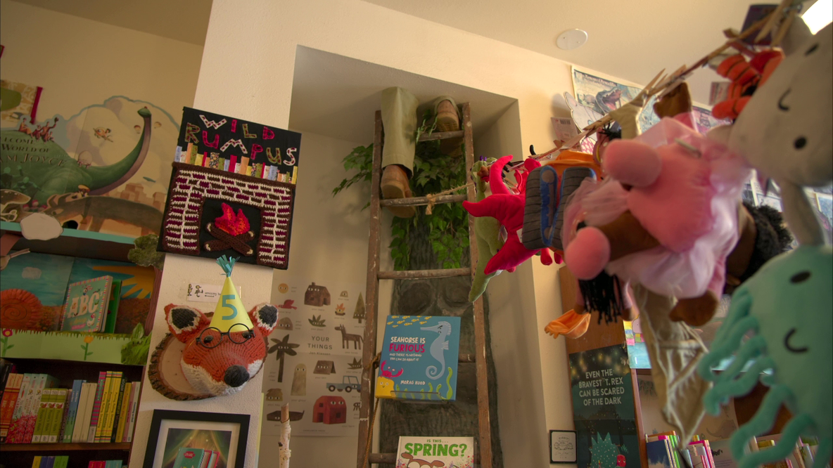 Why Wild Rumpus in Linden Hills is unlike any other bookstore: Cats, chinchillas and 15K books