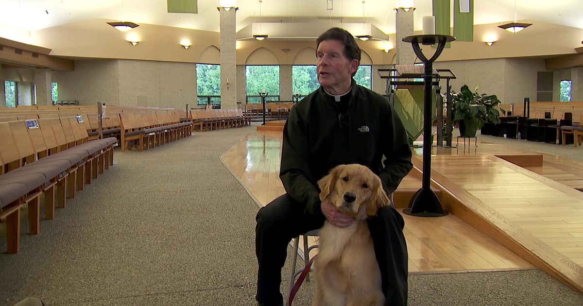 Parish pooch: Golden retriever a different kind of service dog at south metro church