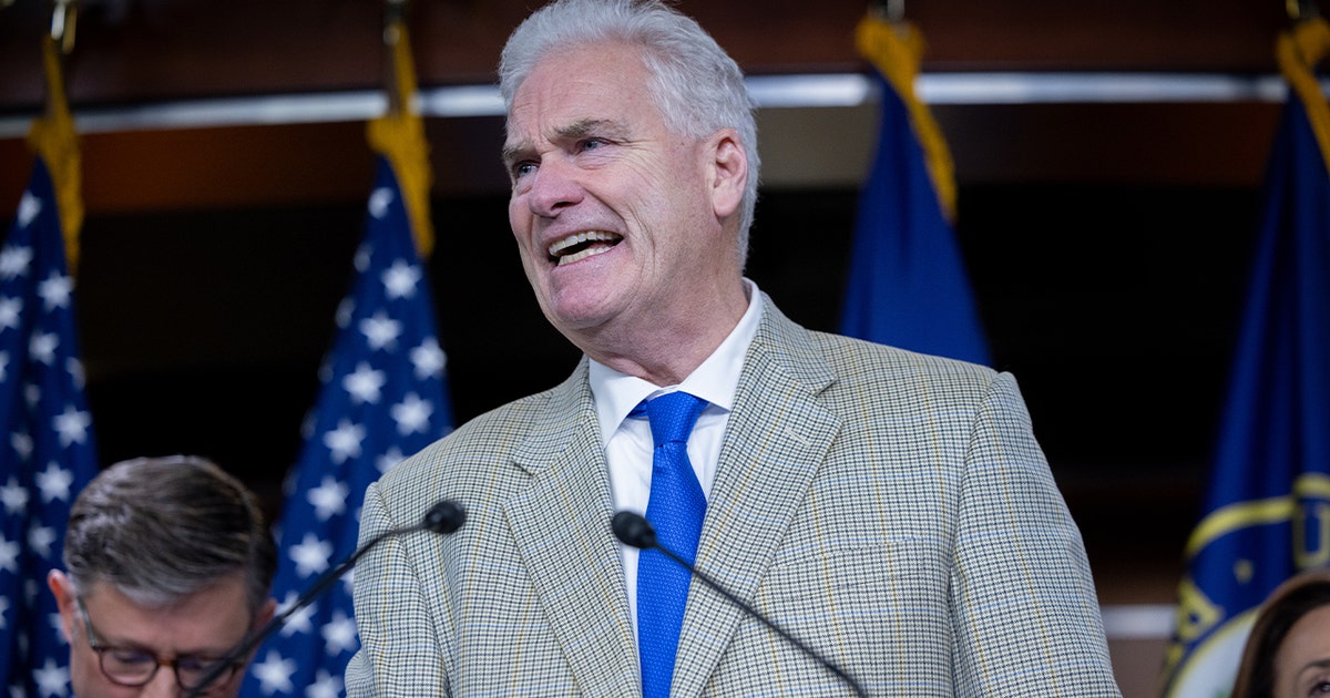 Image for Rep. Tom Emmer faces backlash for telling Somalis to 'go the hell back to where they came from'