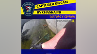 Caught on camera: Baby deer stuck in levee rescued by Chaska PD, DNR officers