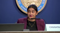 Mpls council member cites 'mass shootings, federal occupation' for mental health leave