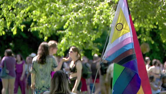 People's Pride at Powderhorn Park: The free, corporate-free Twin Cities celebration now in its 6th year