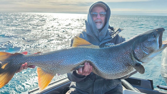 New record-length lake trout caught on Lake Superior certified by DNR