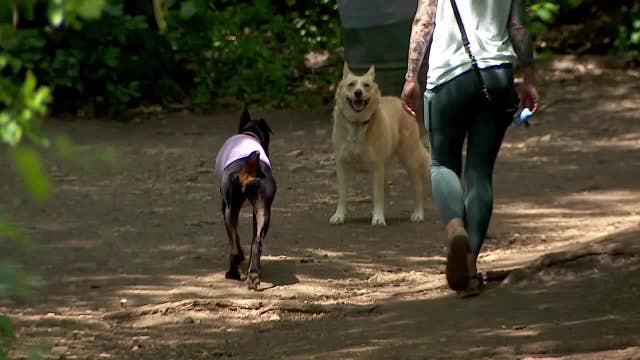 Minneapolis Parks and Rec board votes to close Minnehaha off-leash dog park, citing sacred Dakota land