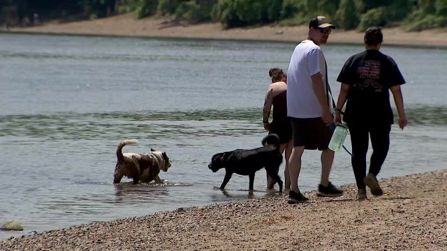 Minneapolis parks board weighs closing Minnehaha dog park over Native sacred land