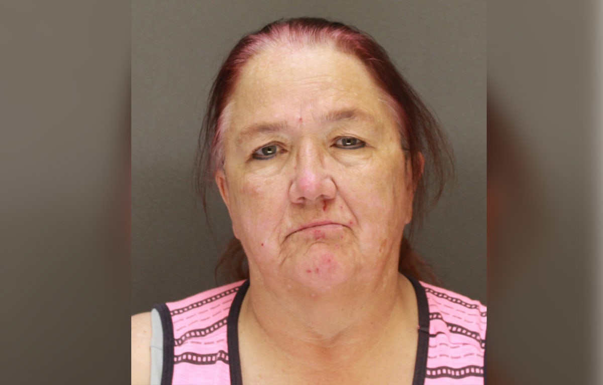 Woman charged after man hurt, dog killed during Monticello hit-and-run