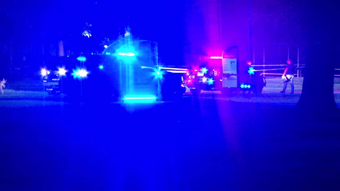 Brooklyn Park teen shooting suspect ordered to stand trial as adult