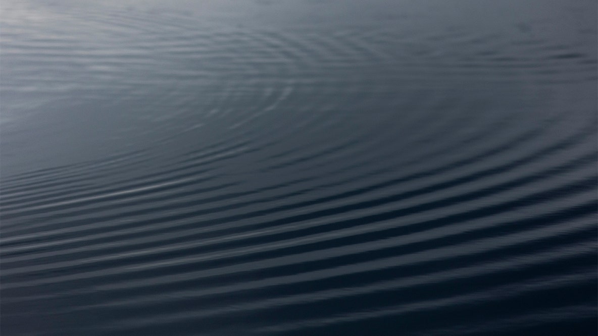 Man's body recovered from Lake Ann in Chanhassen after going under Saturday night