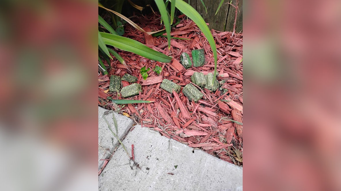 MN couple sued for allegedly using rat poison to prevent dogs from urinating in yard