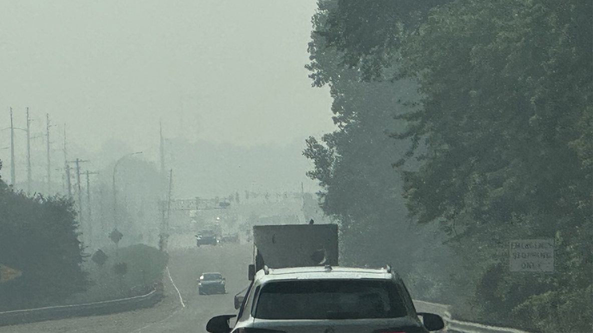 How Minnesota's poor air quality can affect your health, pets