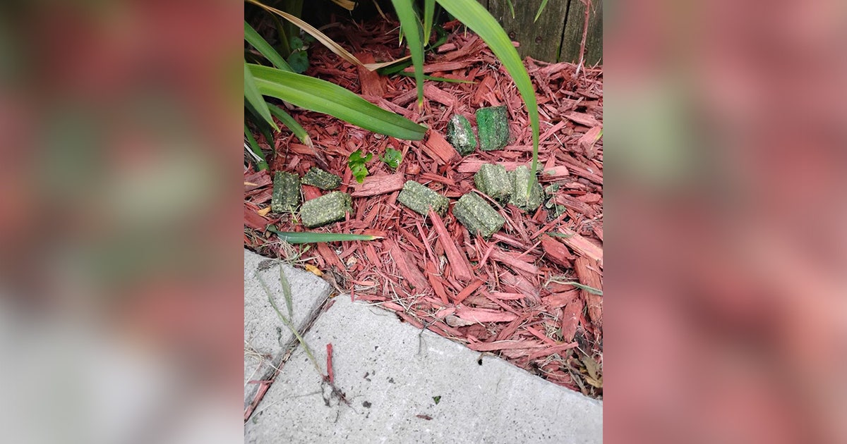 MN couple sued for allegedly using rat poison to prevent dogs from urinating in yard