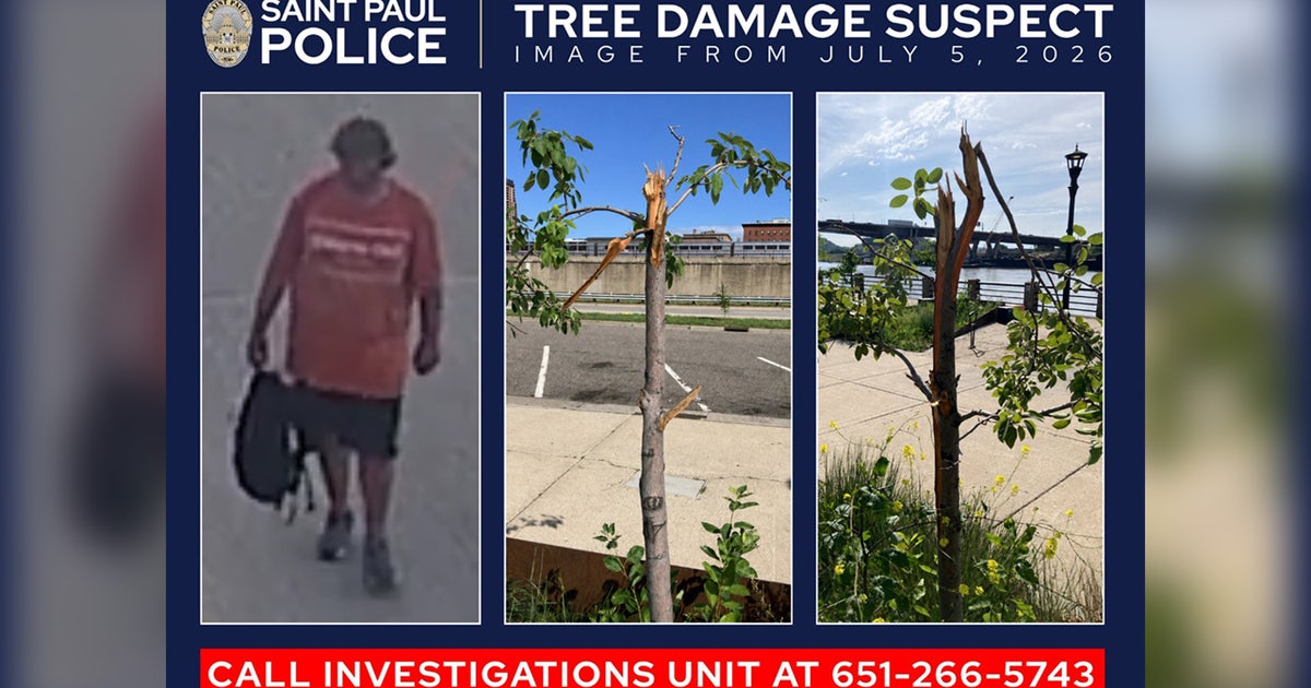 Vandalism News Image