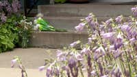 St. Paul triple homicide: Apartment residents mourn, share memories of victims