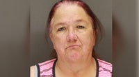Woman charged after man hurt, dog killed during Monticello hit-and-run