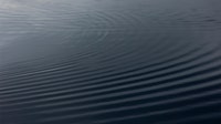 Man's body recovered from Lake Ann in Chanhassen after going under Saturday night