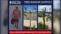 Man who damaged 24 trees in St. Paul park sought by authorities