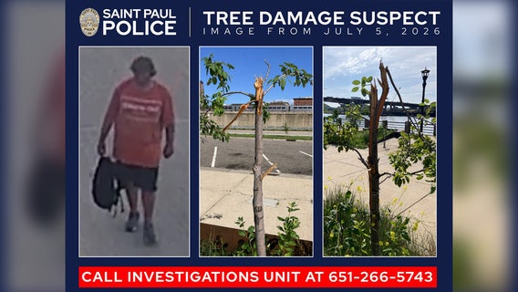 Man who damaged 24 trees in St. Paul park sought by authorities