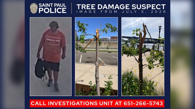 Man who damaged 24 trees in St. Paul park sought by authorities
