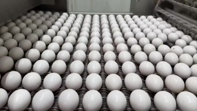 Egg producers to pay $3.3M, donate 53M eggs as part of price-fixing settlement