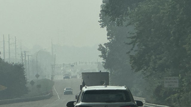 How Minnesota's poor air quality can affect your health, pets