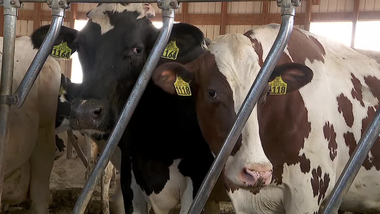 Some Minnesota farmers feel pressure of dry spell as drought deepens