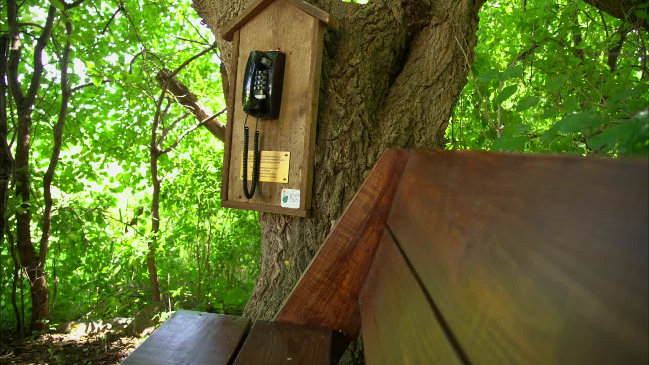 From Japan to Minnesota: Wind phones give grieving people a voice for their loss