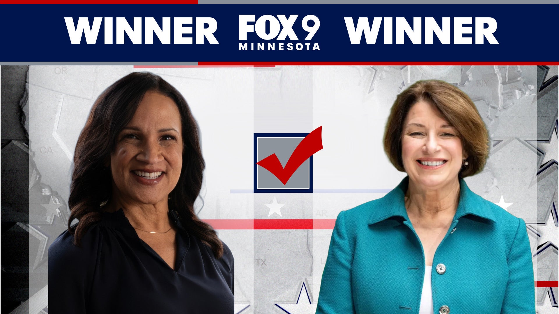 Minnesota governor primary election: Results