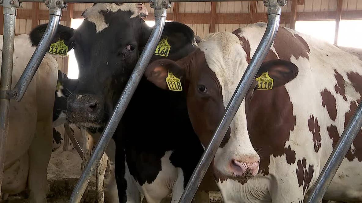 Some Minnesota farmers feel pressure of dry spell as drought deepens