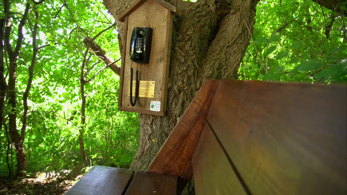 From Japan to Minnesota: Wind phones give grieving people a voice for their loss