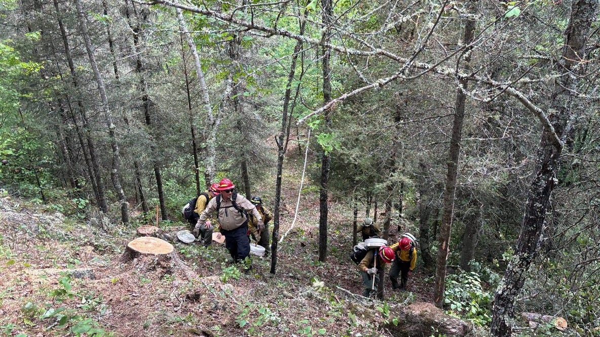 Minnesota wildfires: Superior National Forest reopening 73% of BWCA campsites