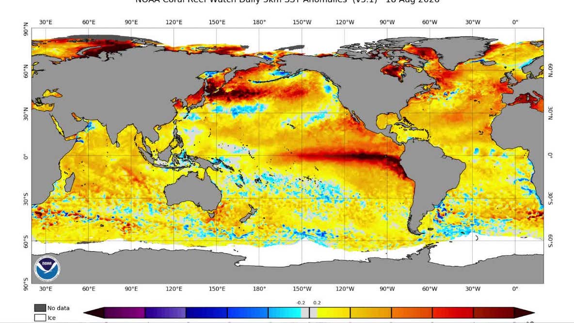 El Niño 2026: Why this year's pattern could mean warmer Minnesota winter